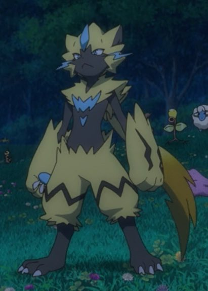 Zarora Electric Pokemon Cat