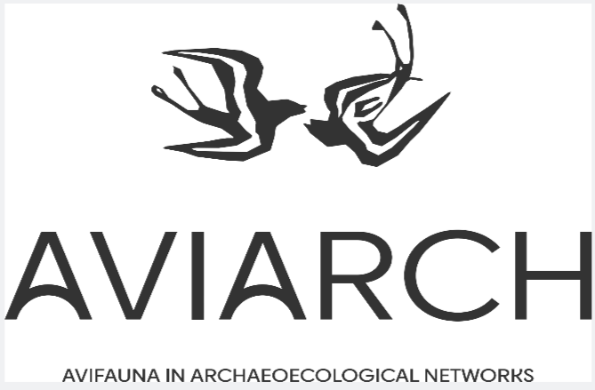 PalaeoTo1's tweet photo. It's a great day for spreading our wings and starting a 5-y adventure! @ERC_Research CoG #AviArch will bring together a flock of archaeologists and biologists, launching a large-scale investigation on the fascinating relationships between birds and people, from past to present. https://t.co/nbz338cuWm