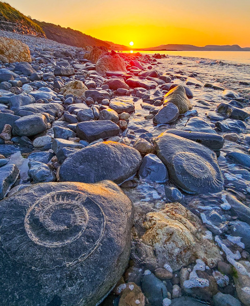 The view from Seven Rock Point, just past the Ammonite Pavement on Monmouth beach at just after 5am. Two large fossil ammonites in the boulders warmed by the golden glow of the sun. Next weekend is Lyme Regis Fossil Festival <a href="/FF_LymeRegis/">Lyme Regis Fossil Festival</a>
#lymeregis #dorset #fossils #ammonites