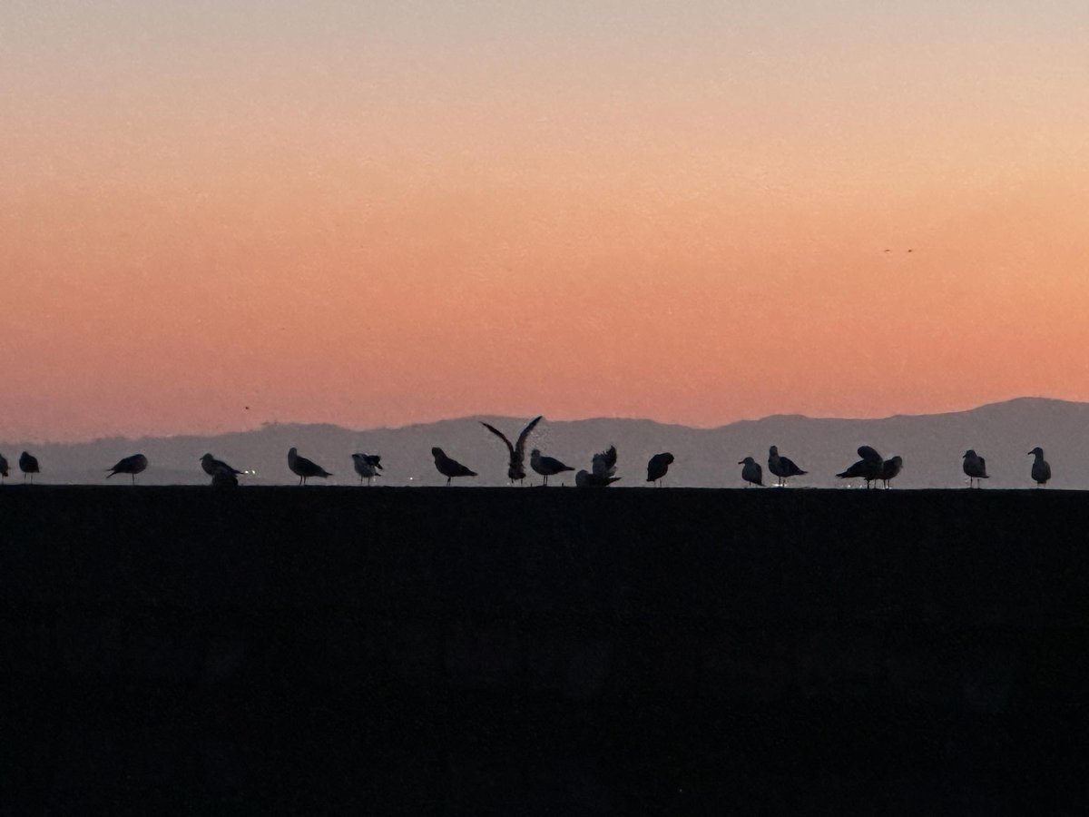 Invention Arts tweet media