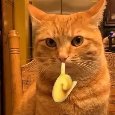 🤍 Sorteo 🤍

🏆 3 Ganadores / 50c cada uno 

Requisitos:

- Follow y RT 

⏰ Finaliza 07/06

Suerte 🤍