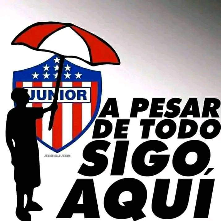 JOSE URECHE S. tweet media