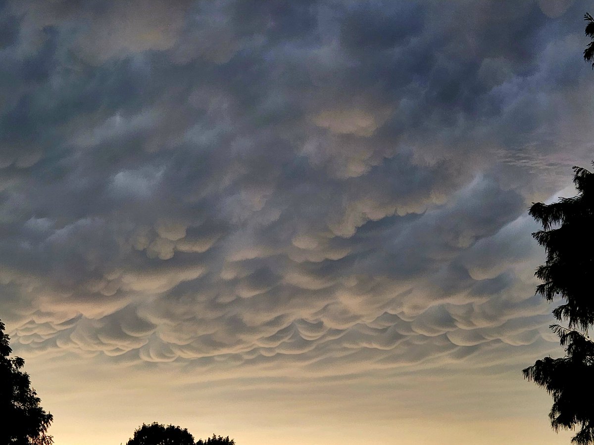 Cirrus861's tweet photo. Beautiful mammatus over Dallas right now! https://t.co/IiadfQyiSX