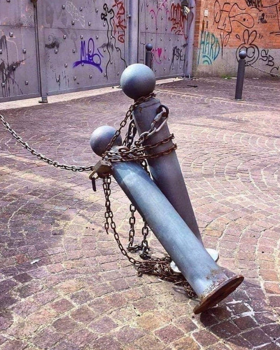 RaminNasibov's tweet image. tango