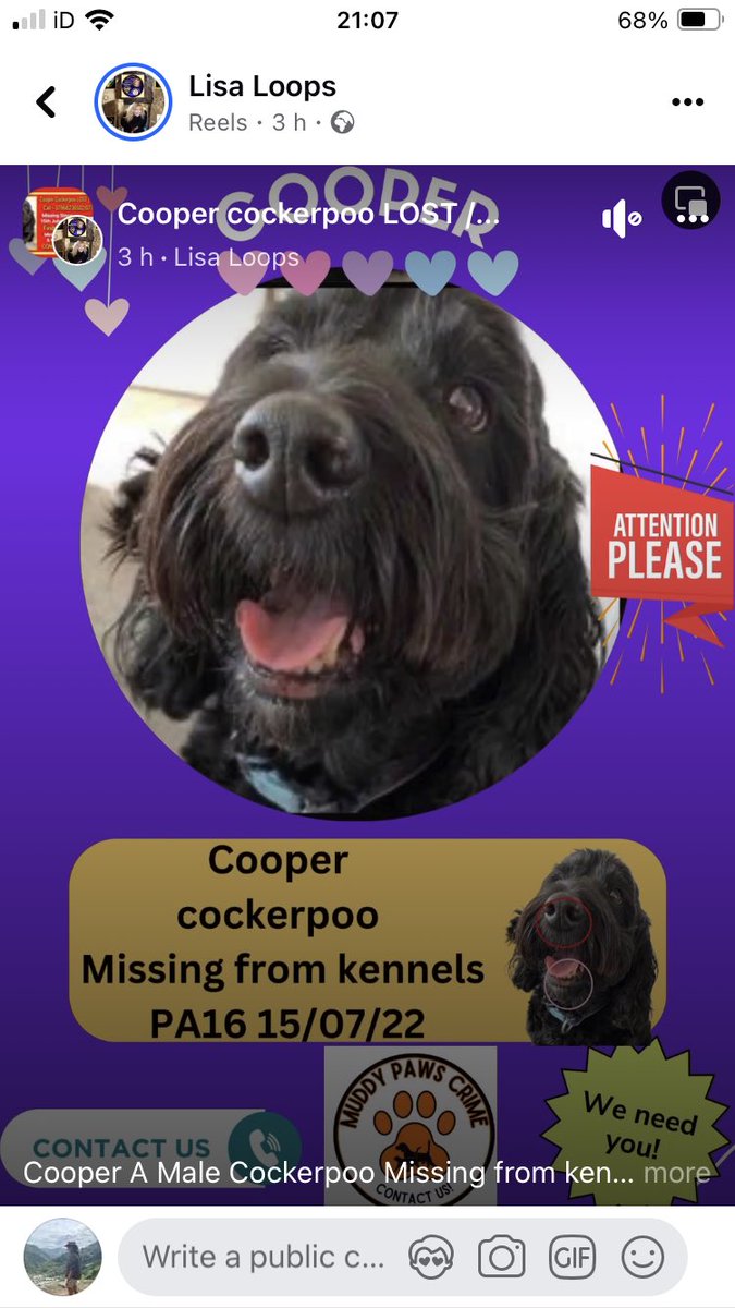 Please keep sharing - to get Cooper back to his family facebook.com/share/v/Zi6G7g…