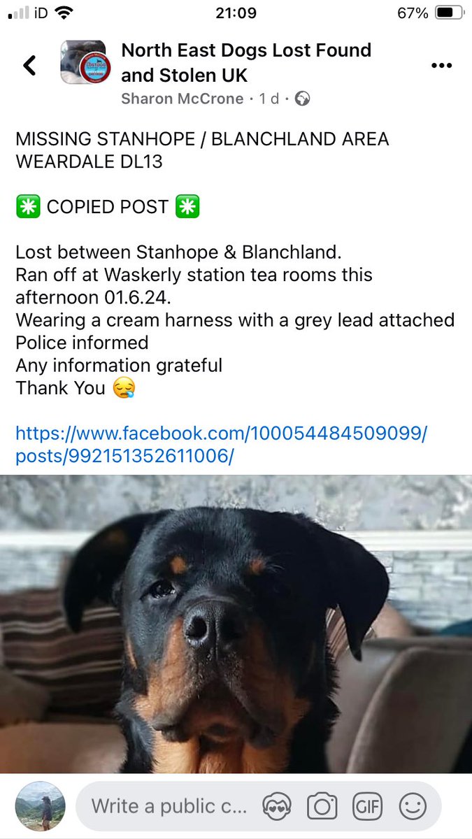 Please share - missing - MISSING STANHOPE / BLANCHLAND AREA WEARDALE DL13 facebook.com/share/p/MR2hPx… Wearing a cream harness with a grey lead attached Police informed Any information grateful Thank You 😪