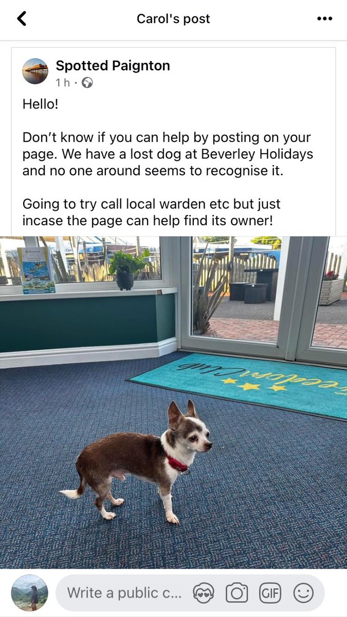Please share - to find owner - Paignton facebook.com/share/p/vpQGFE…