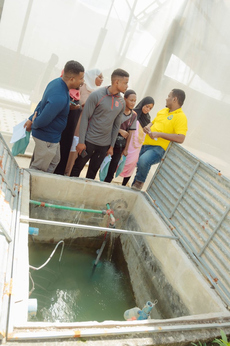 Aatif Aquaponics tweet media