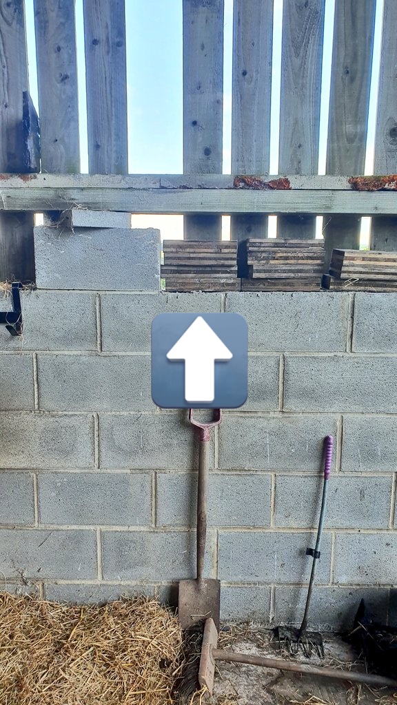 Beth Thomas tweet media