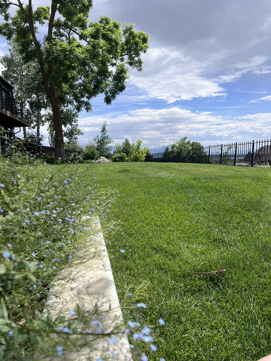 Mike Barber tweet media