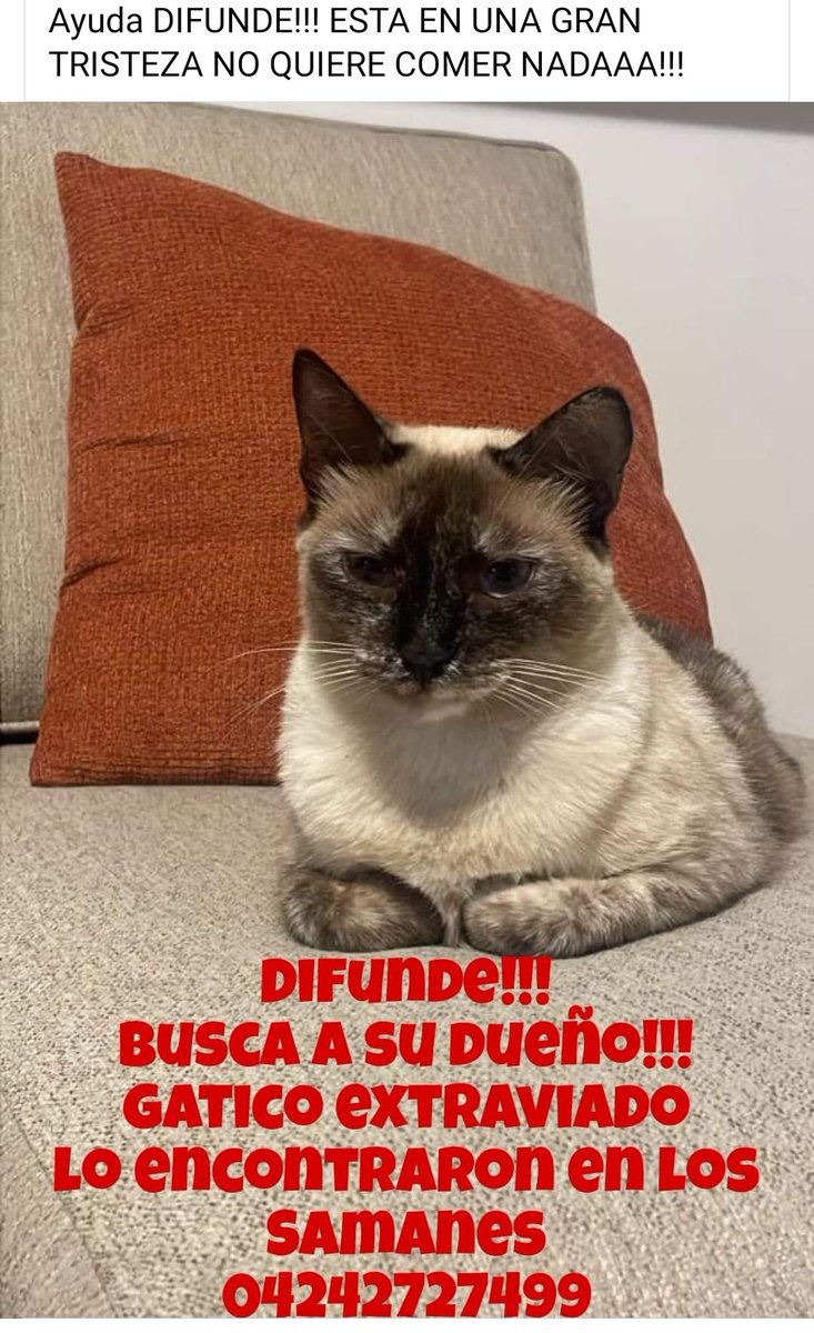 Busca a su familia humana,  Los Samanes