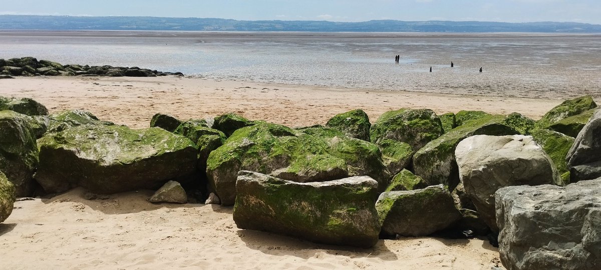 Caldy today.  Very peaceful, or it would have been without Ruby and Annie, two gorgeous little dogs, taking control of the beach for the afternoon 😂