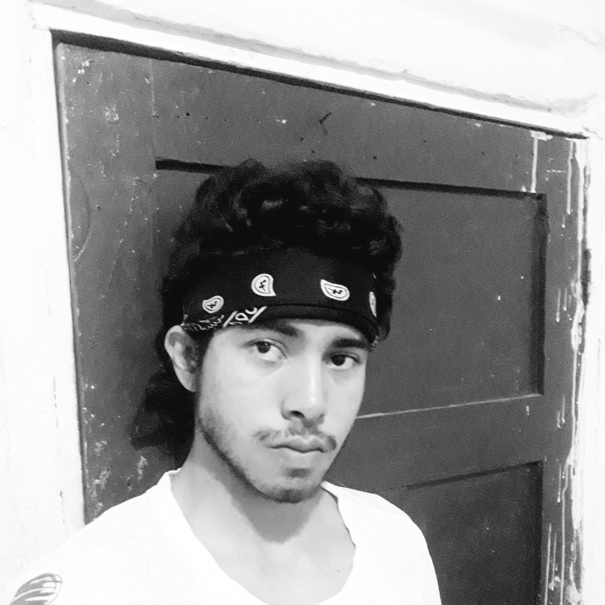 Helmun Camacho tweet media