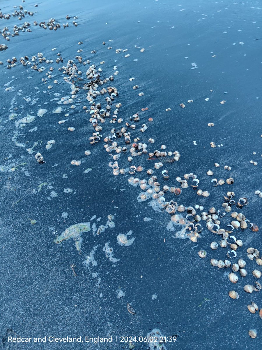 Joe Redfern tweet media