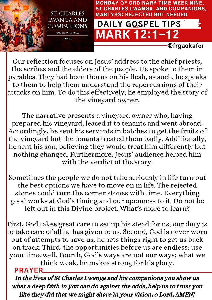 frgaokafor's tweet photo. #dailygospeltips #SaintCharlesLwangaAndCompanions #Vineyard #RejectedButNeeded #HappyNewWorkingWeek https://t.co/cUcBVPliqf
