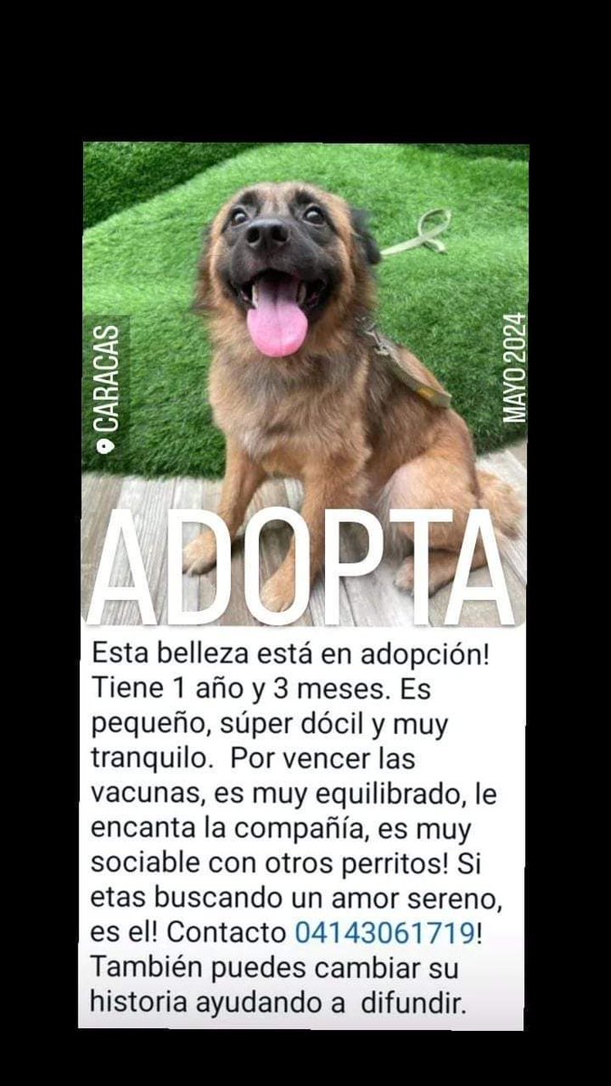 Busca un lugar para llenarlo de alegría y mucho amor,  Caracas