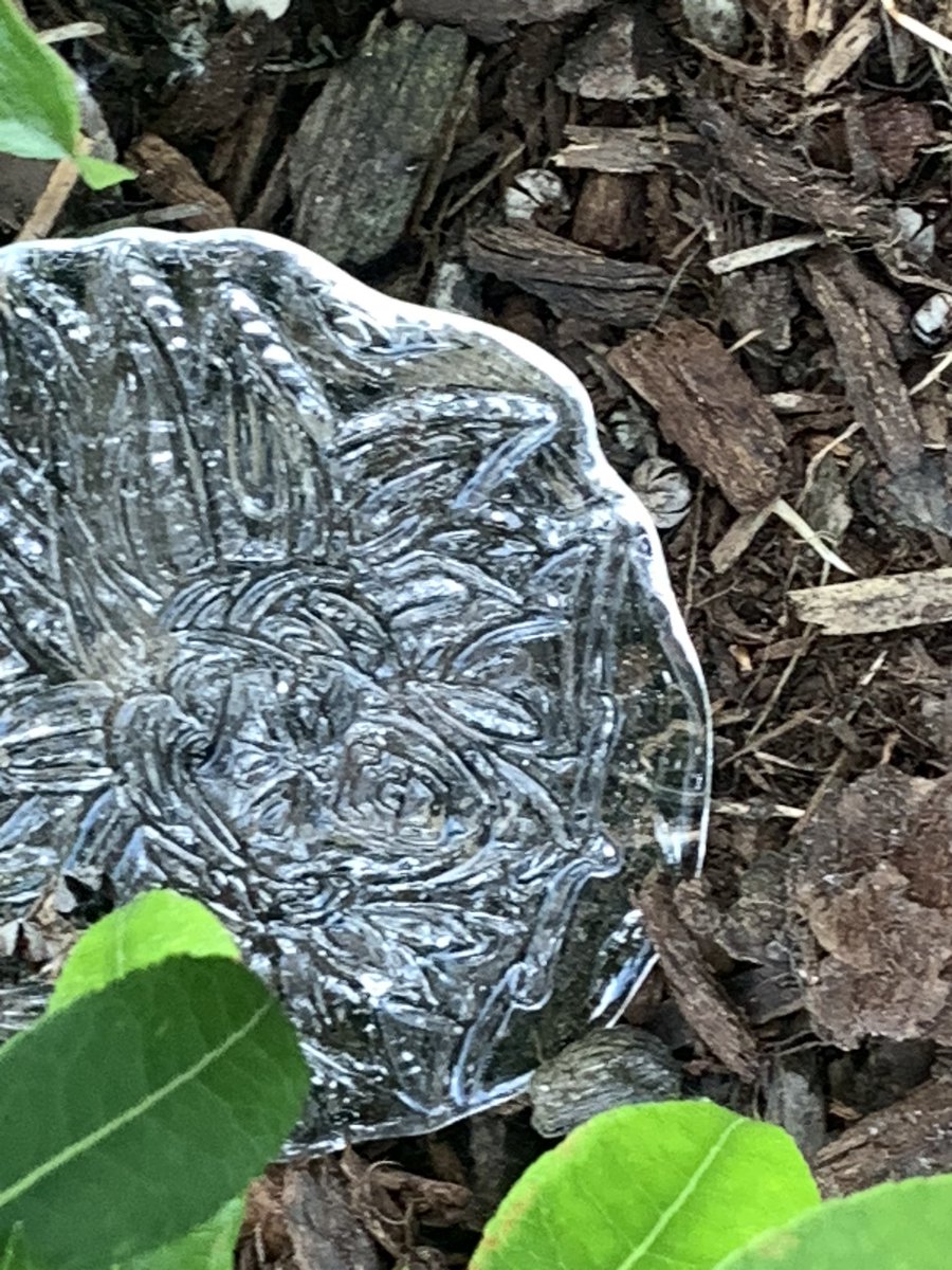 reecombs's tweet image. Just LOOK what I TOOK! Beyond happy! 🥳THANK YOU! First one…ever!