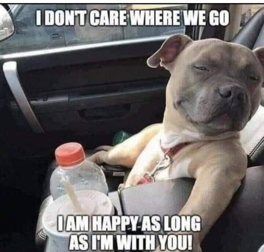 Kate Roberts McLanachan (@mclanachankate) on Twitter photo 