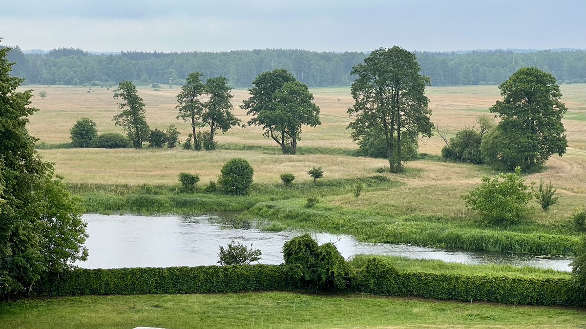 mfprysl's tweet image. A proper environment for humans to flourish… Apart from actual milk and honey, the land is rich in grains and the forests are full of game. Of course urban intellectuals hate it. (A view from the Liw Castle, Poland).