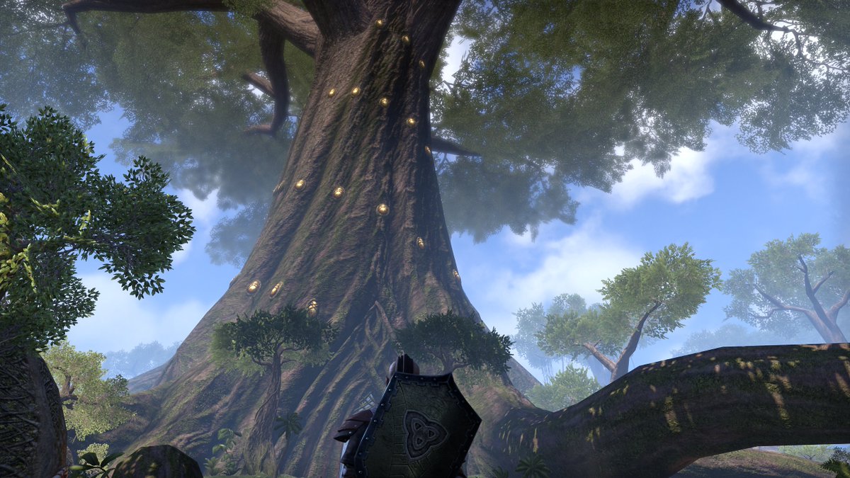 AzmacyDSNK's tweet image. エルデンルートへ里帰り？記念の一枚

はぇー、でっかい！(＠_＠;)
#ESO_JP