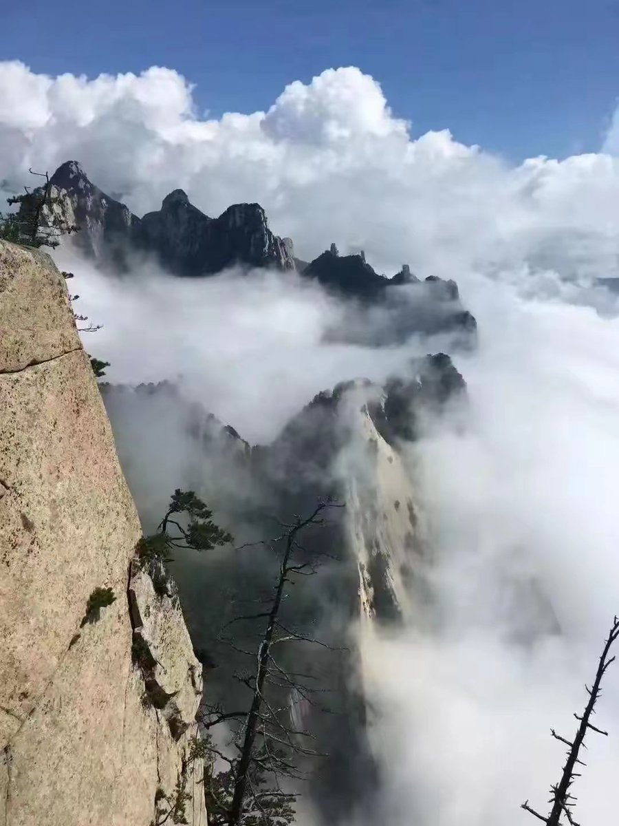 liguihong0625's tweet photo. ⛳️Huashan Mountain, climb to the peak of the majestic and towering Huashan Mountain!
華山,登上崢嶸巍峨的華山巔峰!
#mountainfarming #BRIDGERTON #polin https://t.co/22wm75TQdE