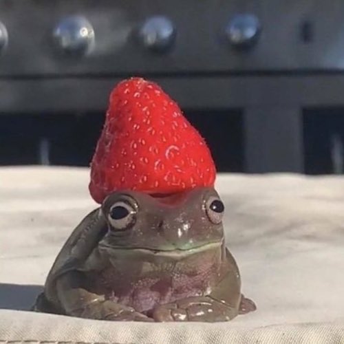 xLiCkxNxSpLiTx's tweet image. $SBF 🍓🐸
CA: 5FiQH4Bdhyc6xWeaMJXbzADhLpKuHWB7hKcGoqWmDsS5
The berry stays on