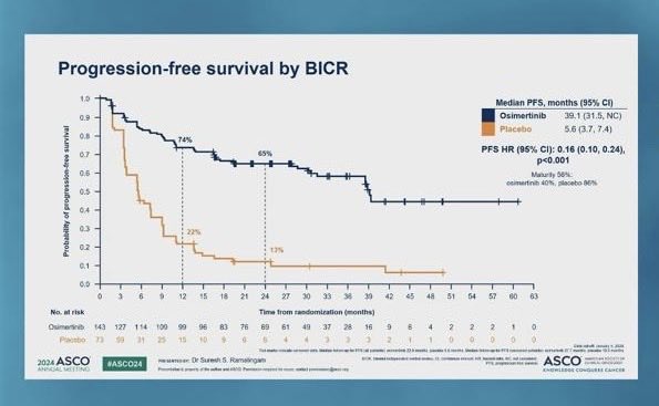 עידו וולף tweet media