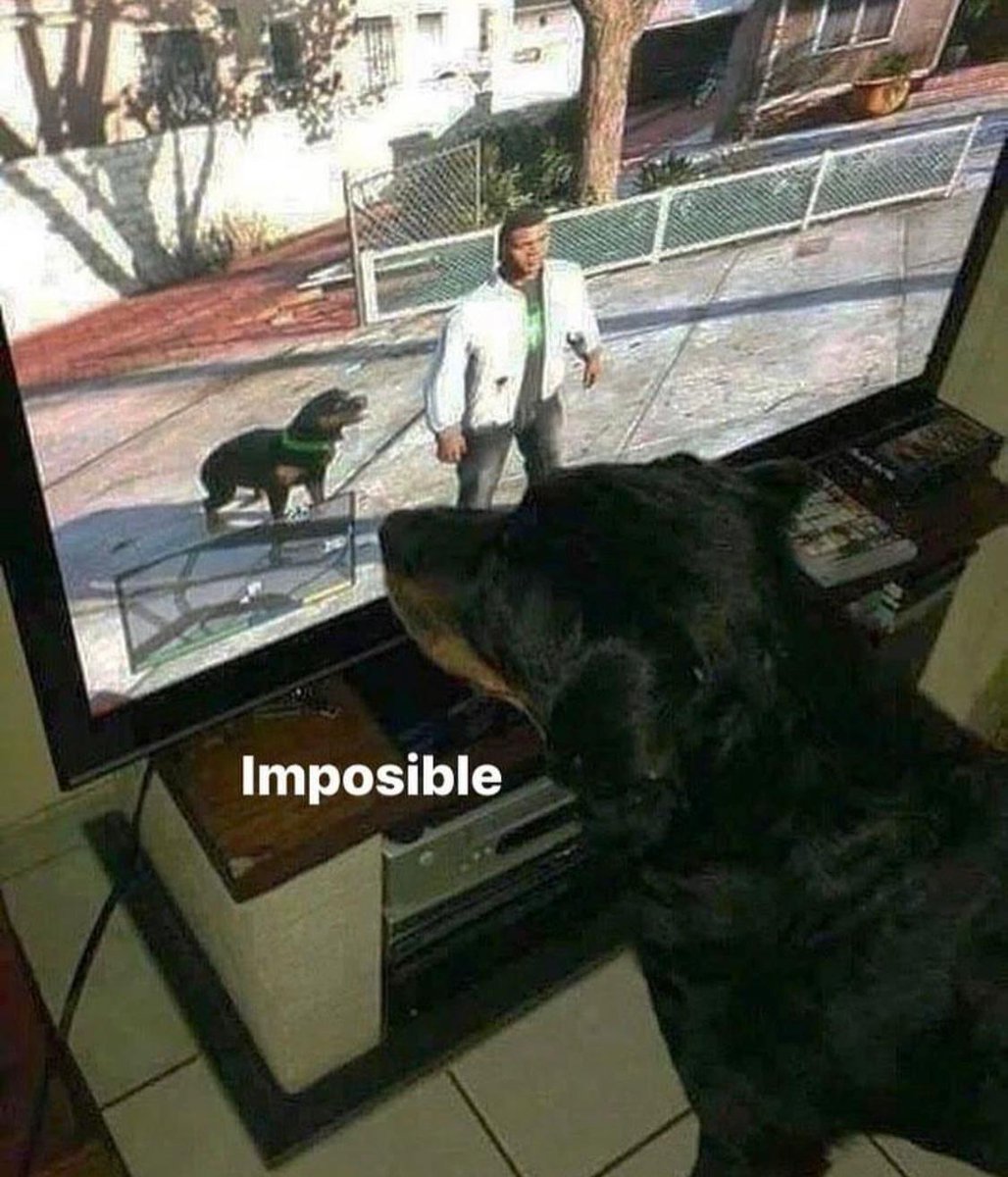 BFrog (@bfrog__) on Twitter photo 