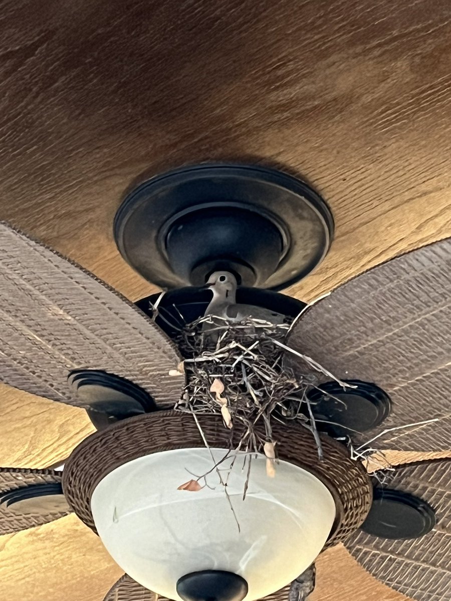 Andrew Godley tweet media