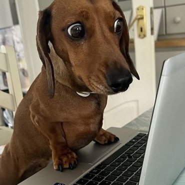 study_nellie's tweet image. Meio do ano e nem saí da matemática básica ainda, totalmente sem previsão de entrar em geometria