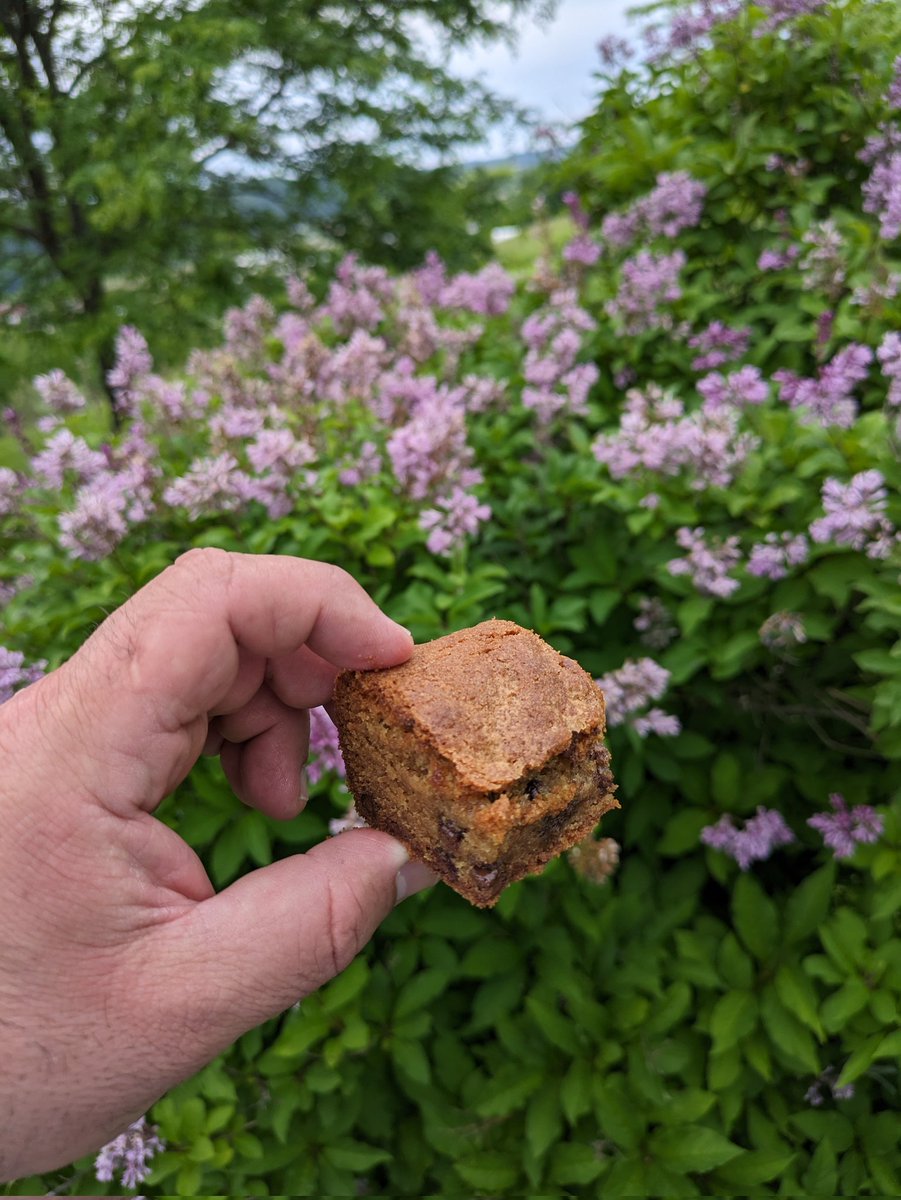 Tighe Lory tweet media