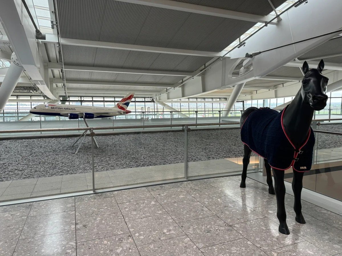 twED_1's tweet image. London🇬🇧🛫to Houston, Texas🇺🇸🛬