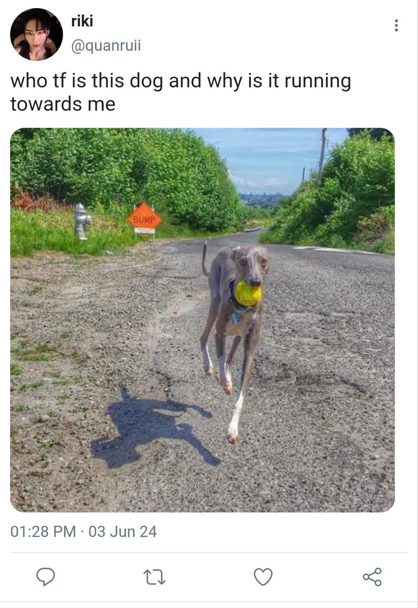 gyvrcky's tweet photo. Where the dog at 🐶❓️
#gyubrik - eng au

Wherein gyuvin's dog, eumppappa, got lost because of two dog sitters and was found by ricky, a person who is able to communicate with animals. https://t.co/bNLj7TAkNM