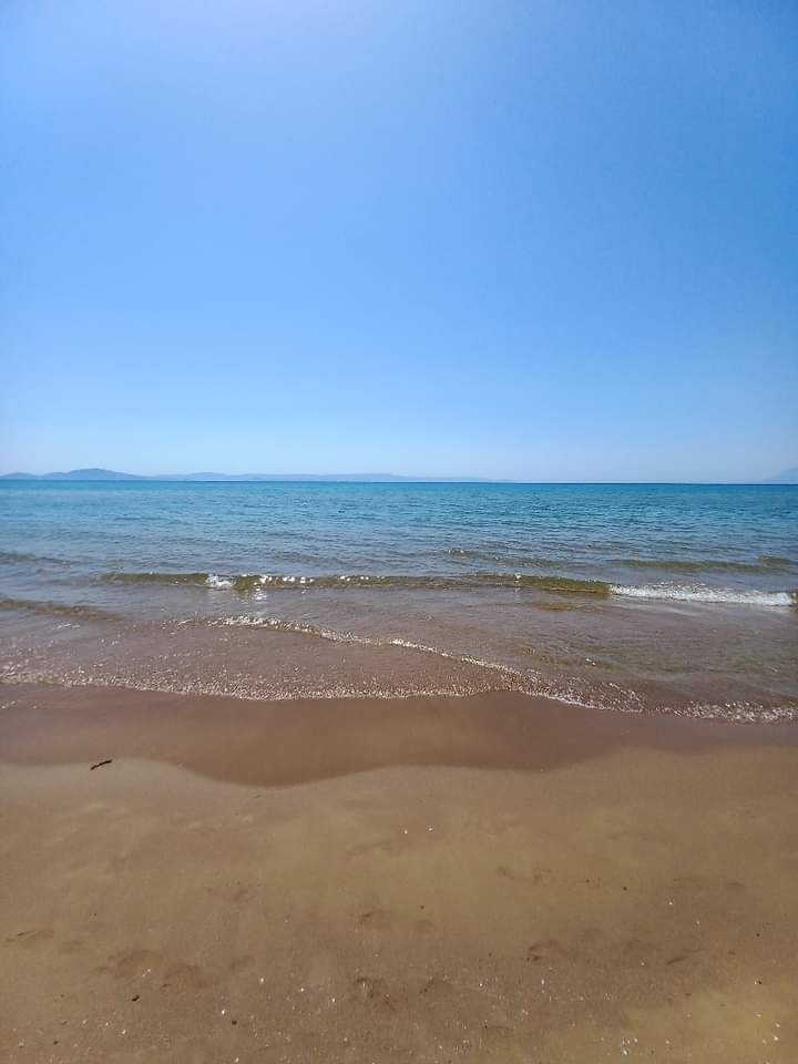 MARIA434587123's tweet photo. Καλημέραααα 🥤🍃🥰🧿
#Ionio #Ιονιο #Vartholomio #Ilia #Βαρθολομιο #golden_beach #loutra #Killini ❤️❤️❤️ https://t.co/AIGdD7AsuS