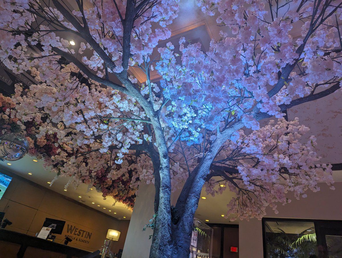 foursue's tweet image. アメリカにつきました
#DataCloudSummit