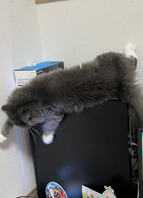 zzz...

ん。
呼んだ？

のび～
おっとっと。。

ﾊﾞﾀﾊﾞﾀ。。
ﾎﾟﾃｯ。