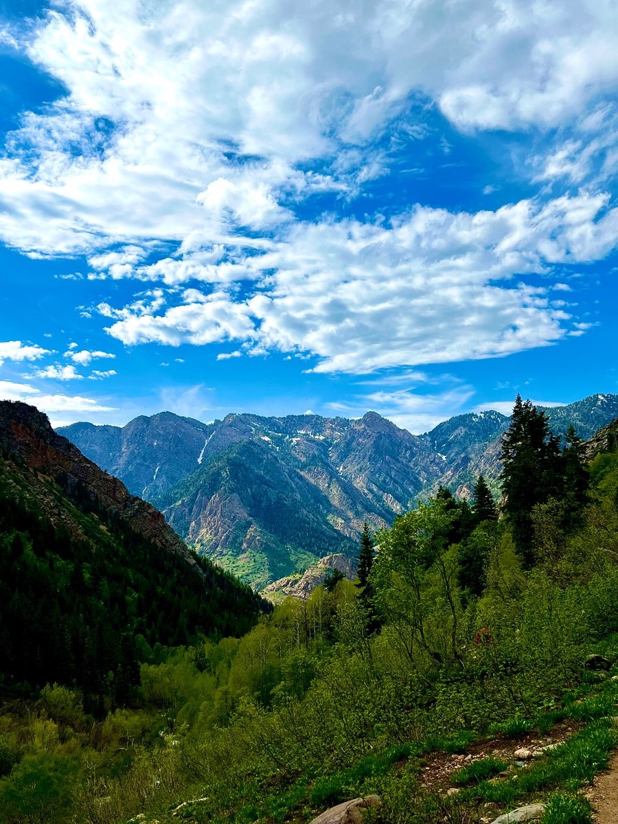 Newaj Abdullah, MD (he/him/his) tweet media