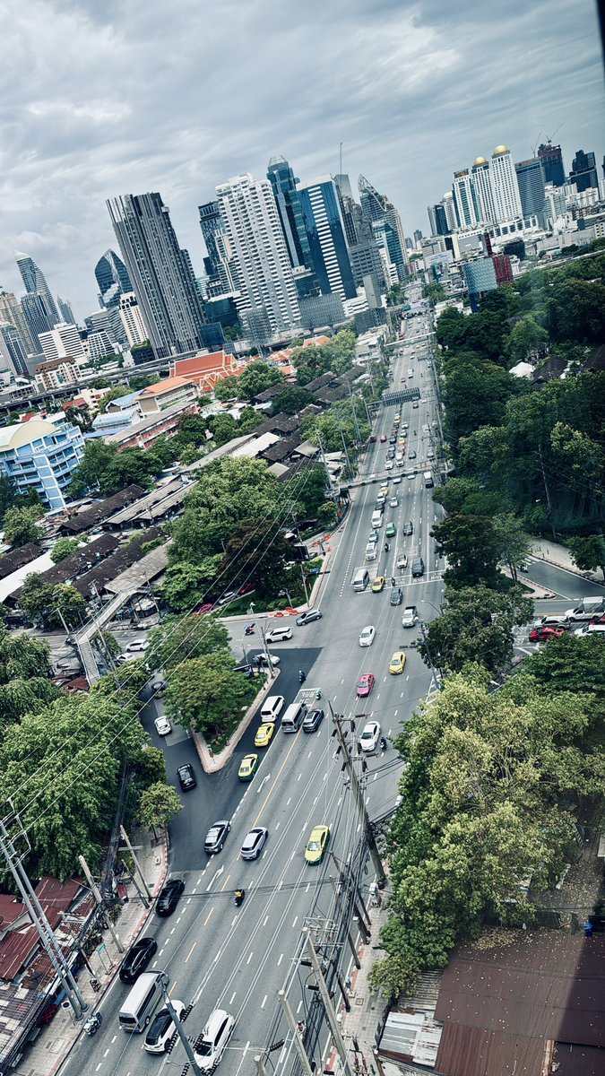 The view from the Togetherly office this week.