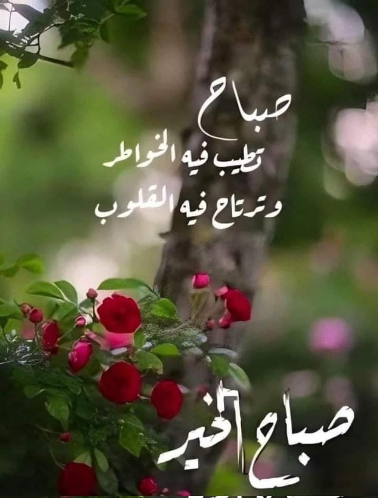 موجب لحج جاد (@khaledk36043661) on Twitter photo 