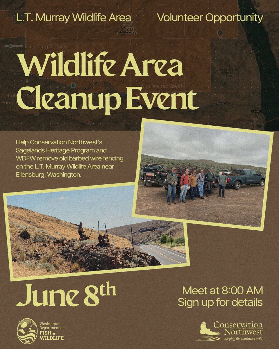 Seeking volunteers this weekend, June 8th! Help Conservation Northwest's Sagelands Heritage Program and the WDFW remove old, barbed wire fencing on the L.T. Murray Wildlife Area near Ellensburg, WA.

Sign up: forms.gle/XSfpm1BmX8aAkB…