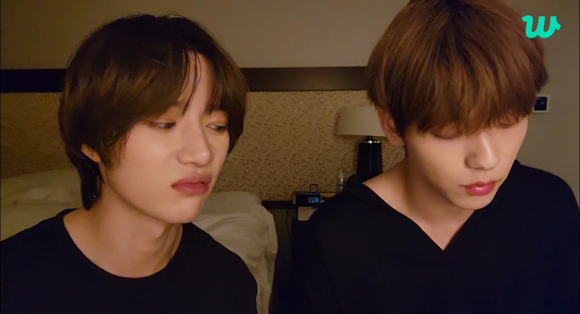 ALPHA WOLF tweet media