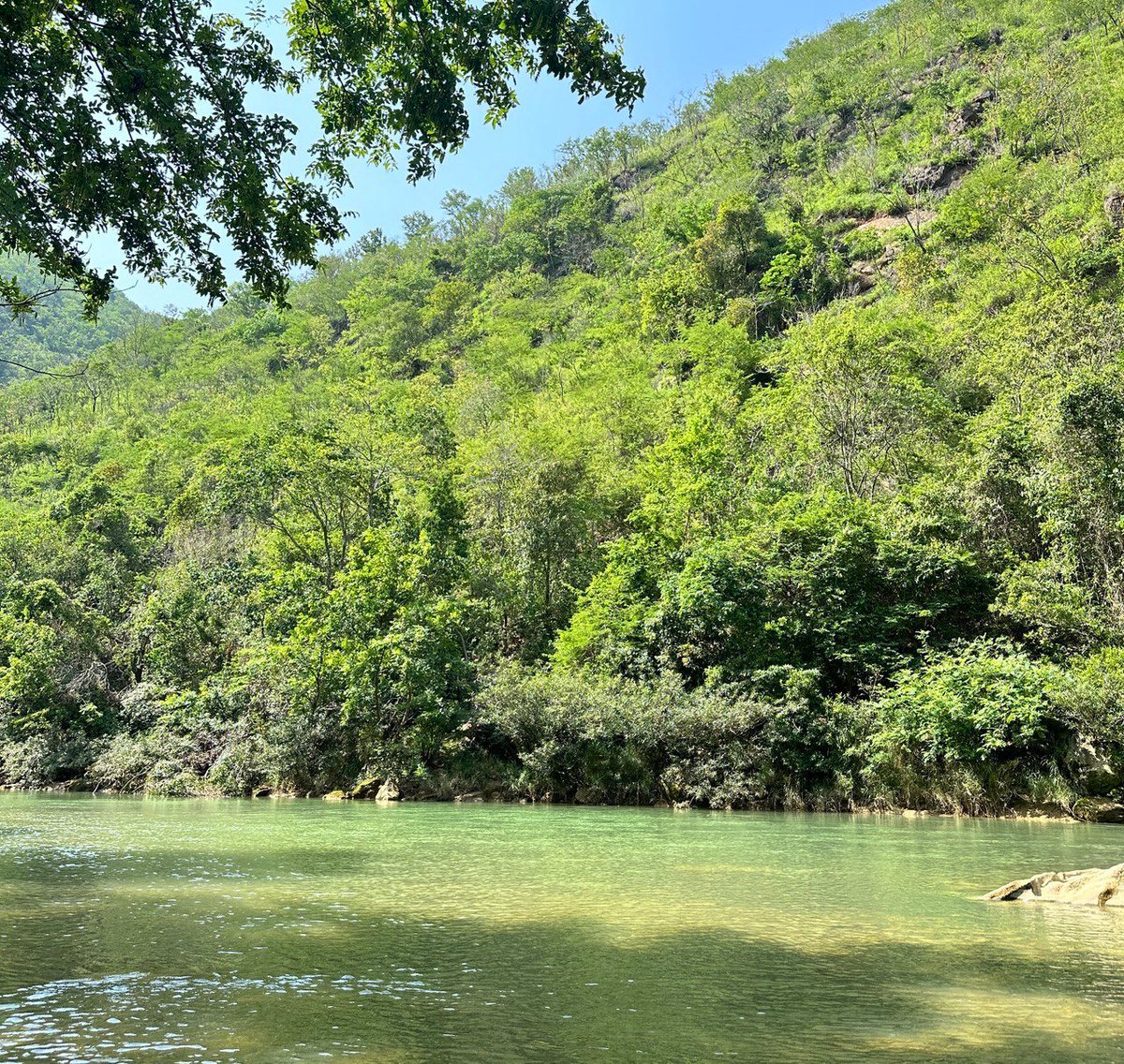 Nếu dựa theo tính chu kỳ thì khoảng thời gian trong năm 2025 thị trường sẽ tạo đỉnh!

Như vậy tính ra chỉ còn quanh quẩn 6 tháng nữa sang 2025 rồi. Không phải đợi quá lâu để chúng ta bước vào một con sóng bò điên đâu anh em ạ!

$BTC sẽ tạo ATH mới theo