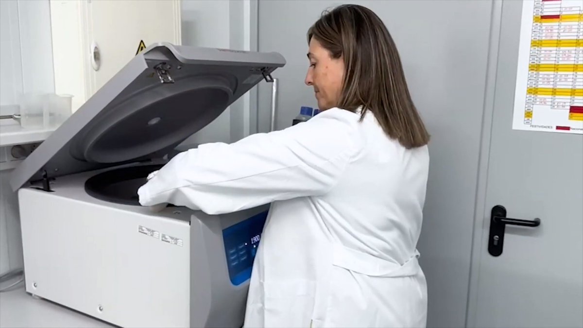 En la categoría general del premio de Transferencia de Conocimiento, el jurado ha reconocido el trabajo de dos grupos de investigación del IATA y el CEBAS.

Estos grupos han desarrollado métodos de vigilancia epidemiológica de virus en aguas residuales. 
🔗youtube.com/watch?v=0pq_uX…