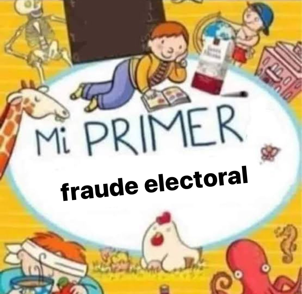 mi primer fraude electoral 2024