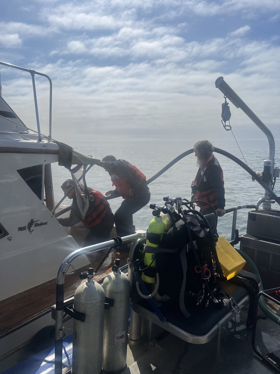 Chicago Police Marine Unit tweet media