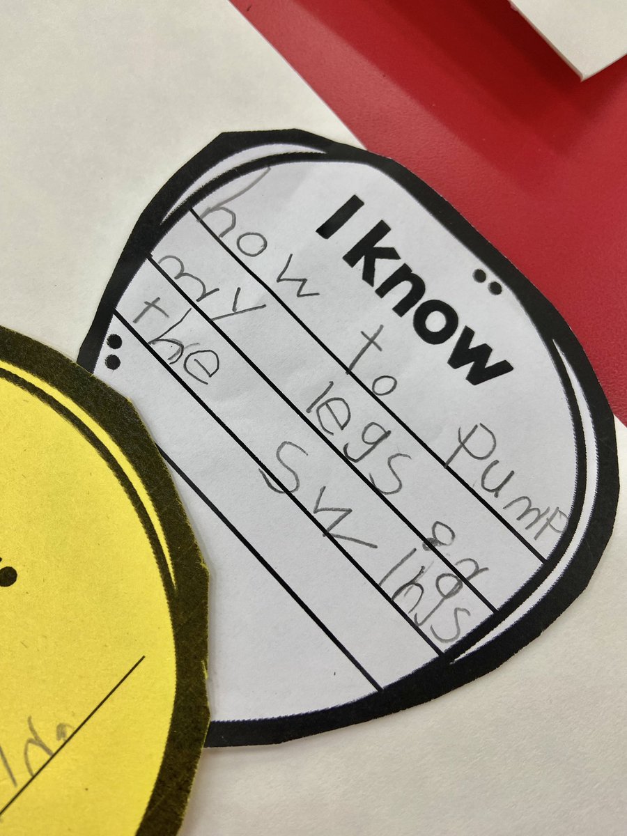 ErinShortall4's tweet photo. Look at how these awesome students have grown! 🌼 Lookout first grade, here we come! @tincroadschool @markdgrilo @Dani_Marangon https://t.co/rzX0AzPnai