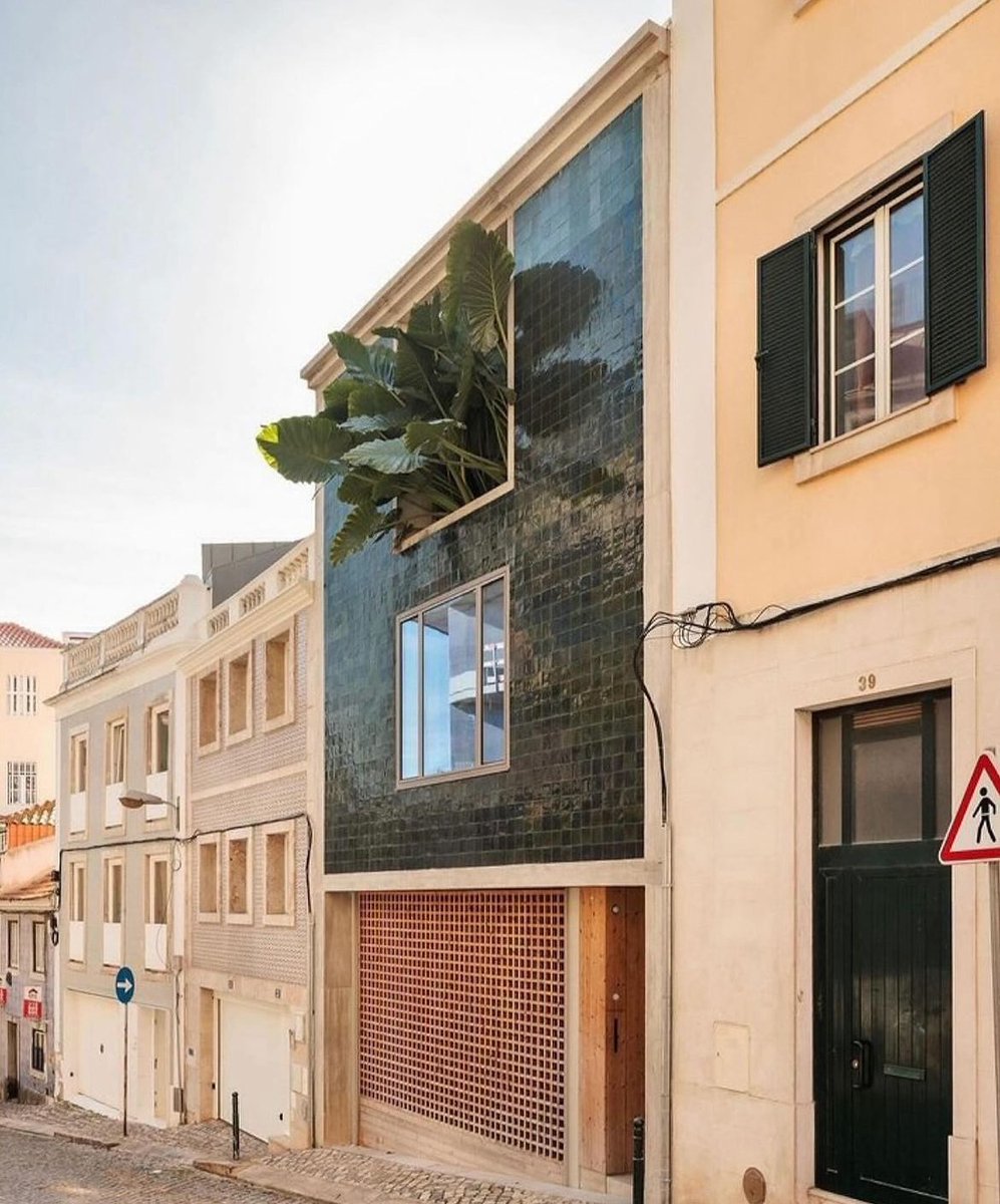 Love the green tiles and plants bursting out of this home in Lisbon, Portugal