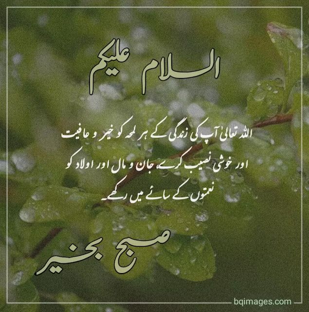Hamza Shabbir (@hamzashabbir439) on Twitter photo 