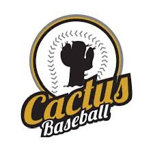 Canadian Amateur Baseball Central tweet media