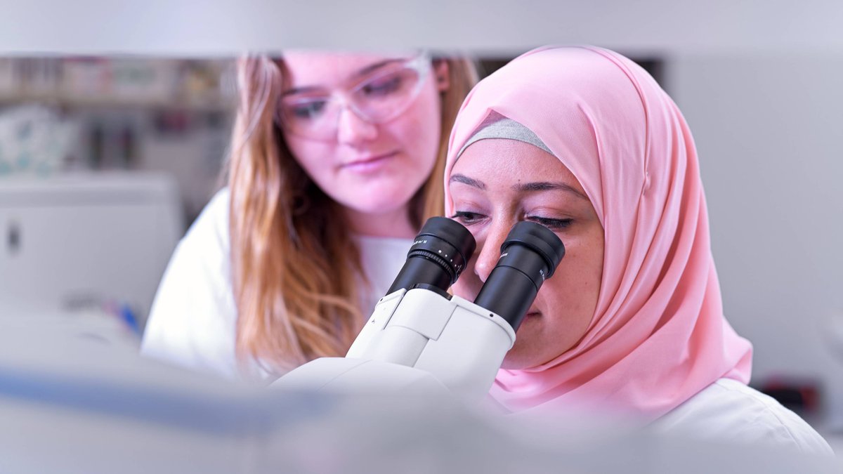 QIMRB_Institute's tweet photo. We are looking for a research trainee!

Are you:
~ Interested in and looking to gain experience in research
~ Undergraduate student in the fields of #psychology, public health, #science and related fields

Apply now: https://t.co/qm8Ex5B9Cv

#researchtrainee #medicalresearch https://t.co/g4KVb6Tsxh